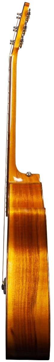 Rathbone R3SKCE spruce/koa Western gitaar met element