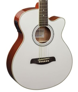 Brunswick BTK50MW deluxe Western gitaar met element