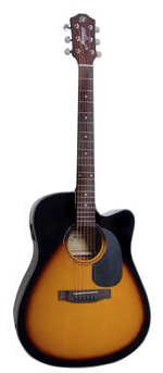 Morgan w104ce sb deluxe Western gitaar met element