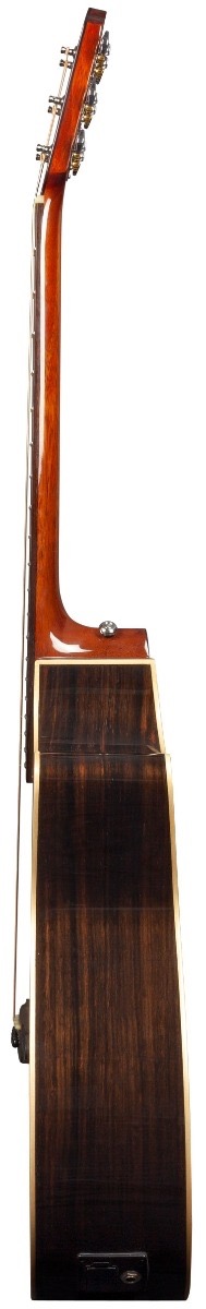 Rathbone R3cece  cedar/ebony Western gitaar met element
