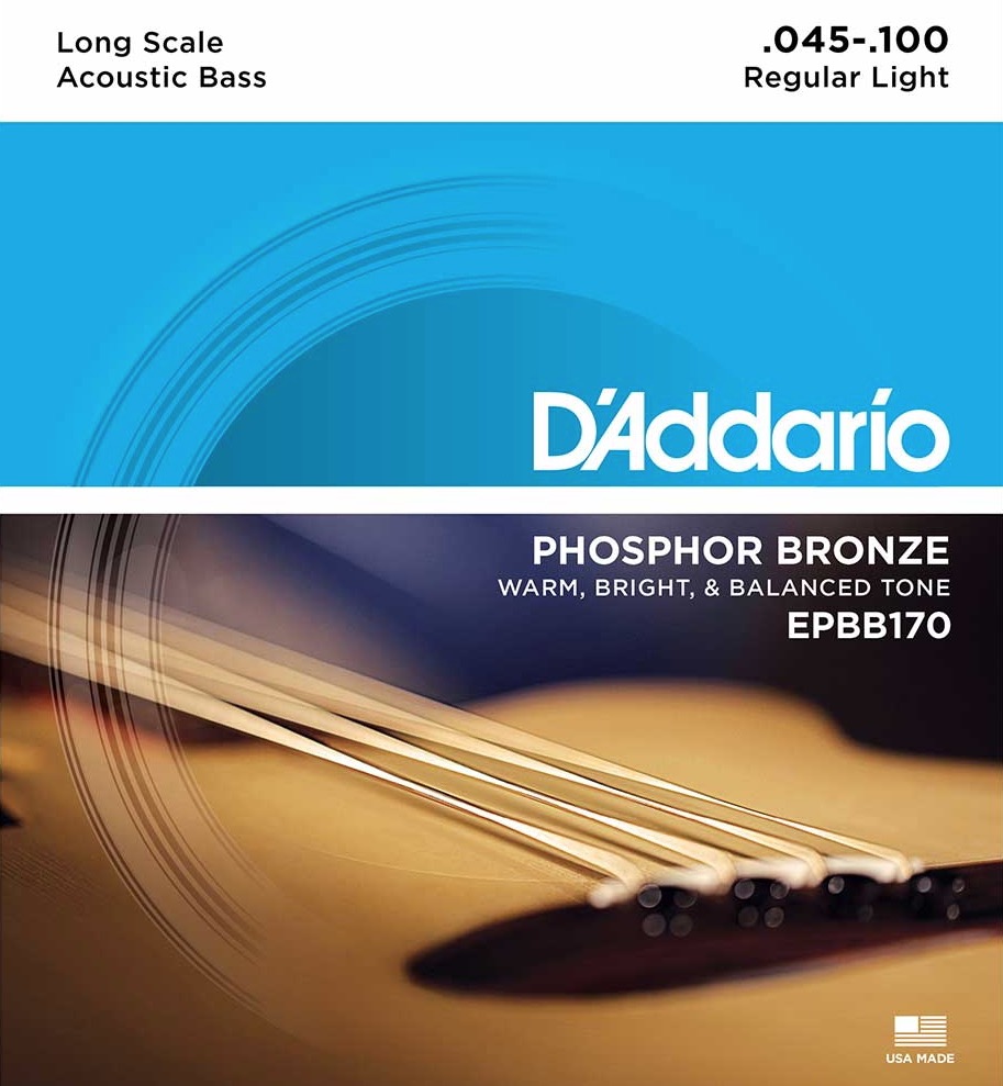 D'Addario epbb170 acoustic Set acoustic 4 string bassnaren