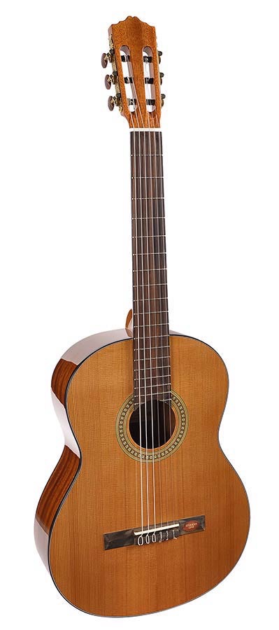 Salvador Cortez cc10  cedar top Klassieke gitaar