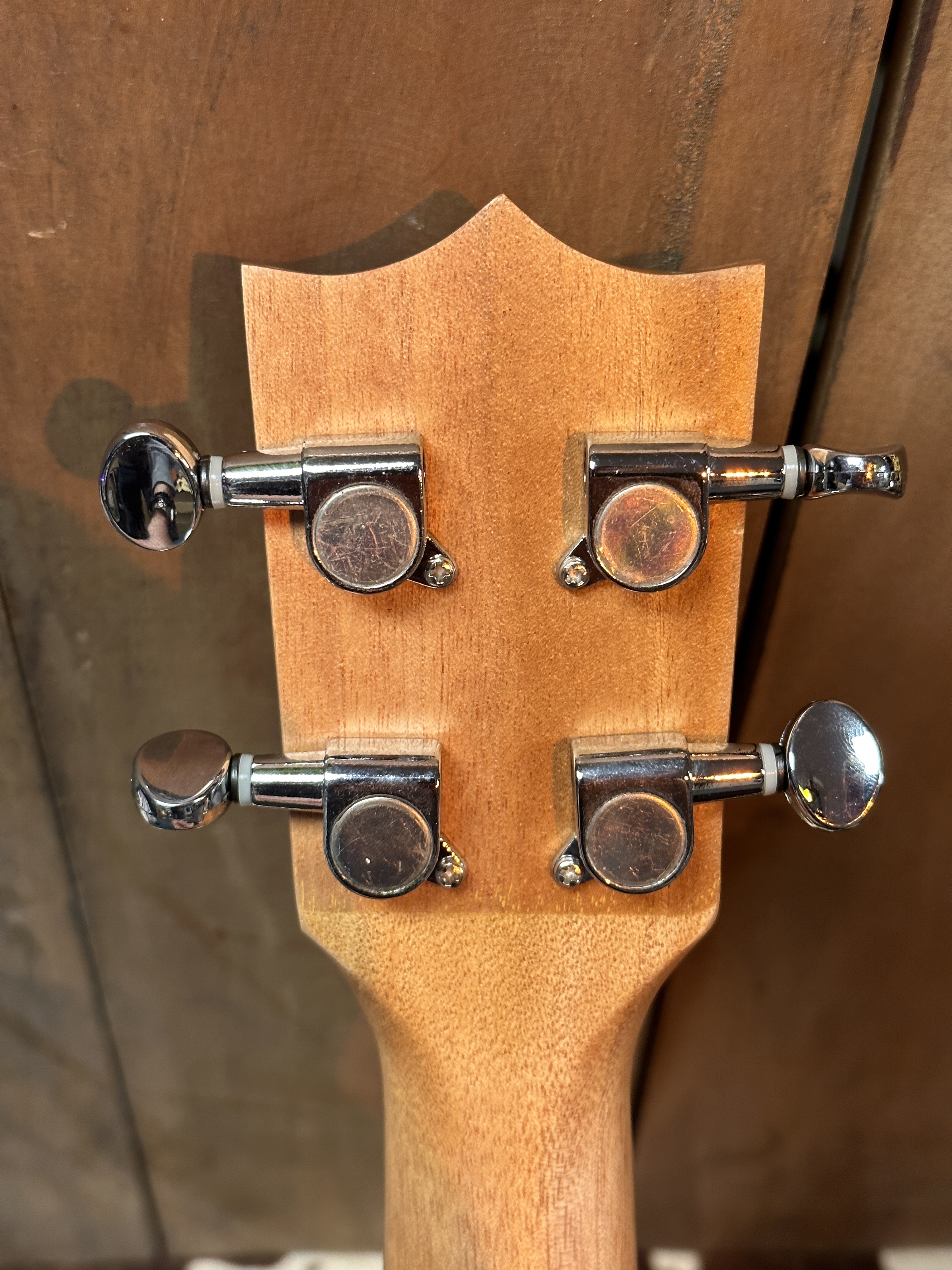 Blackhorn bhc7sap Concert ukelele