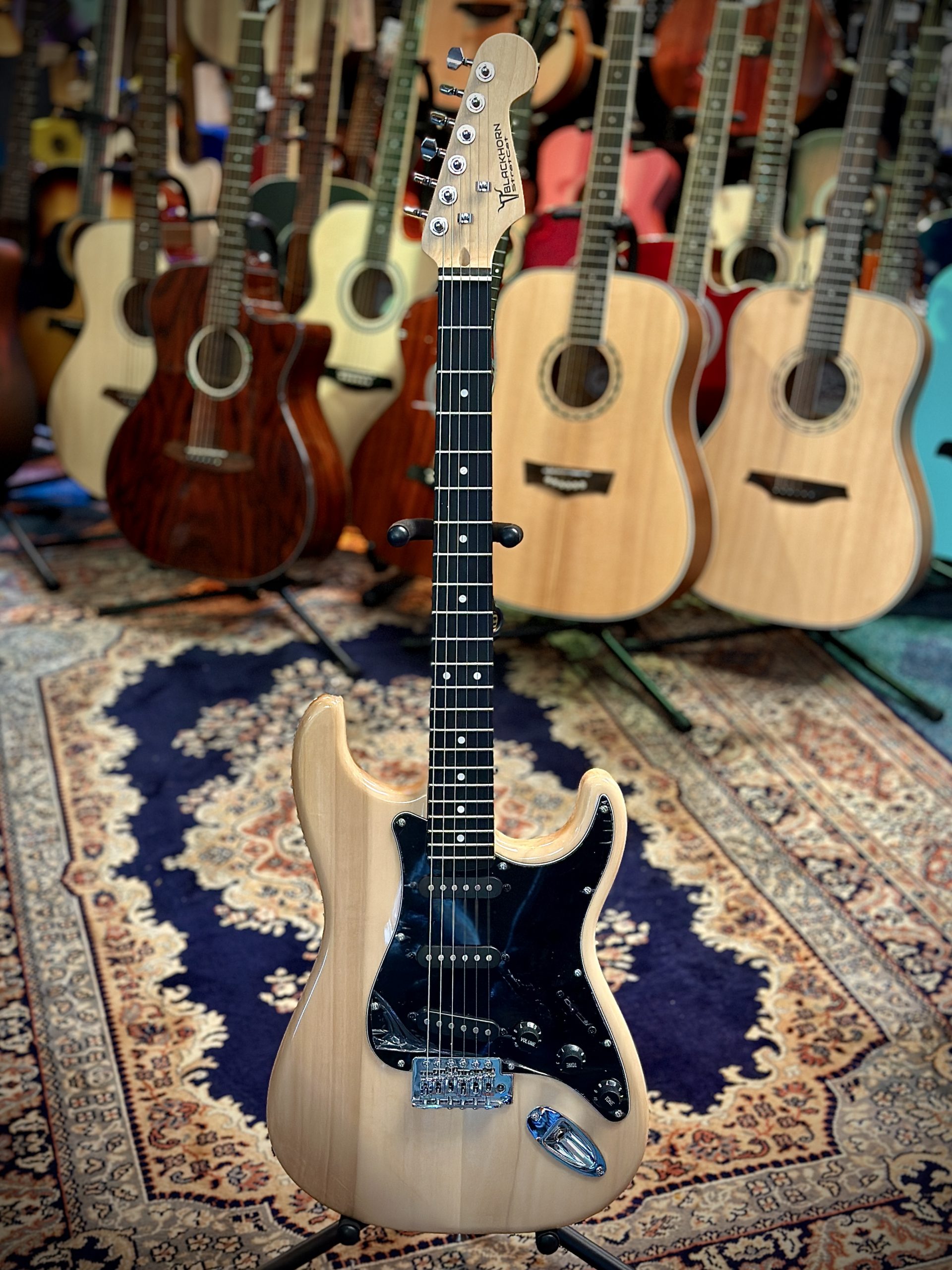 Blackhorn StratCat 1 n-rn Electrische gitaar