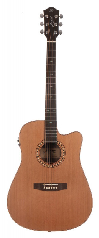 Morgan W309sce deluxe (mat) Western gitaar met element