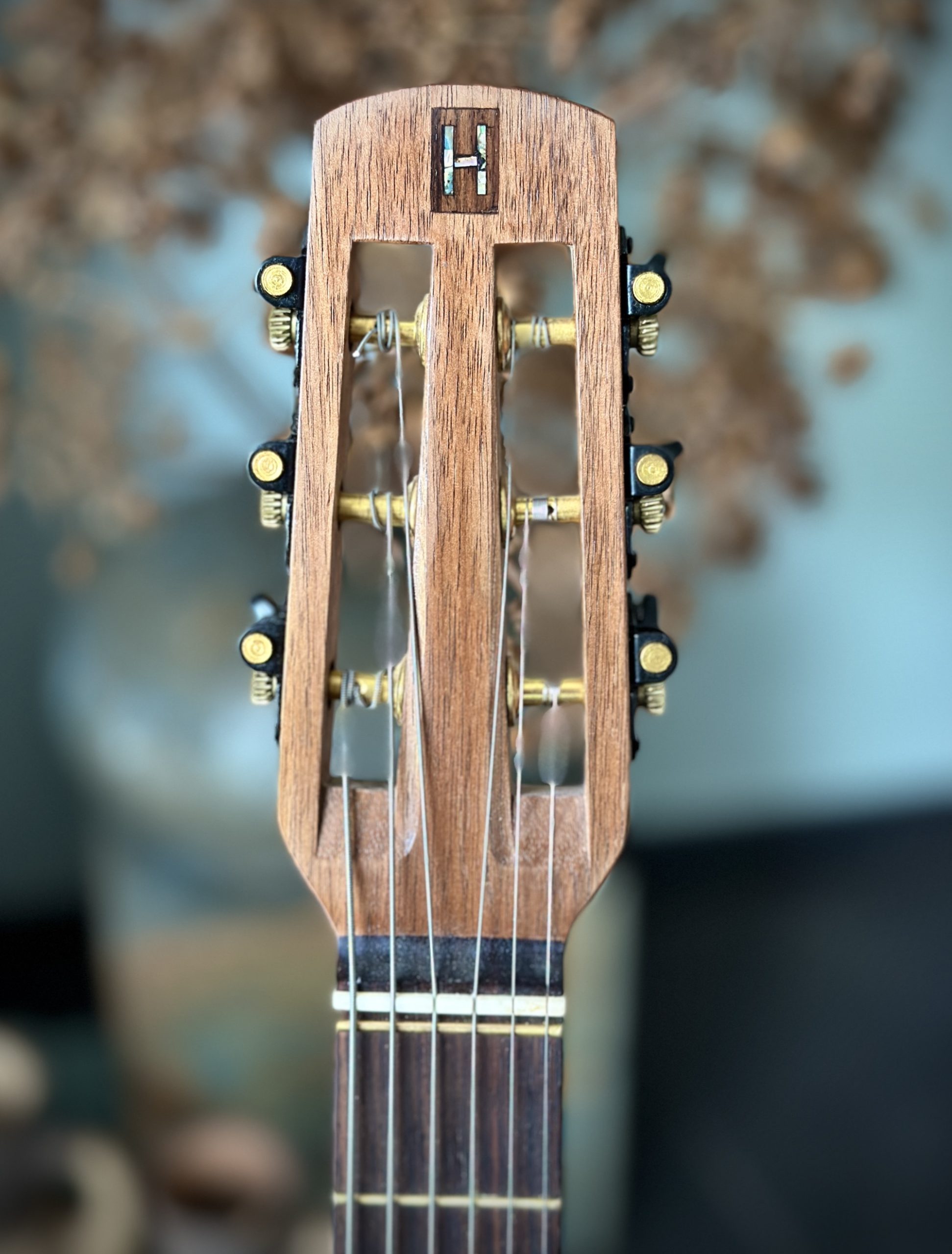 Handmade Holtkamp Gipsy model Western gitaar