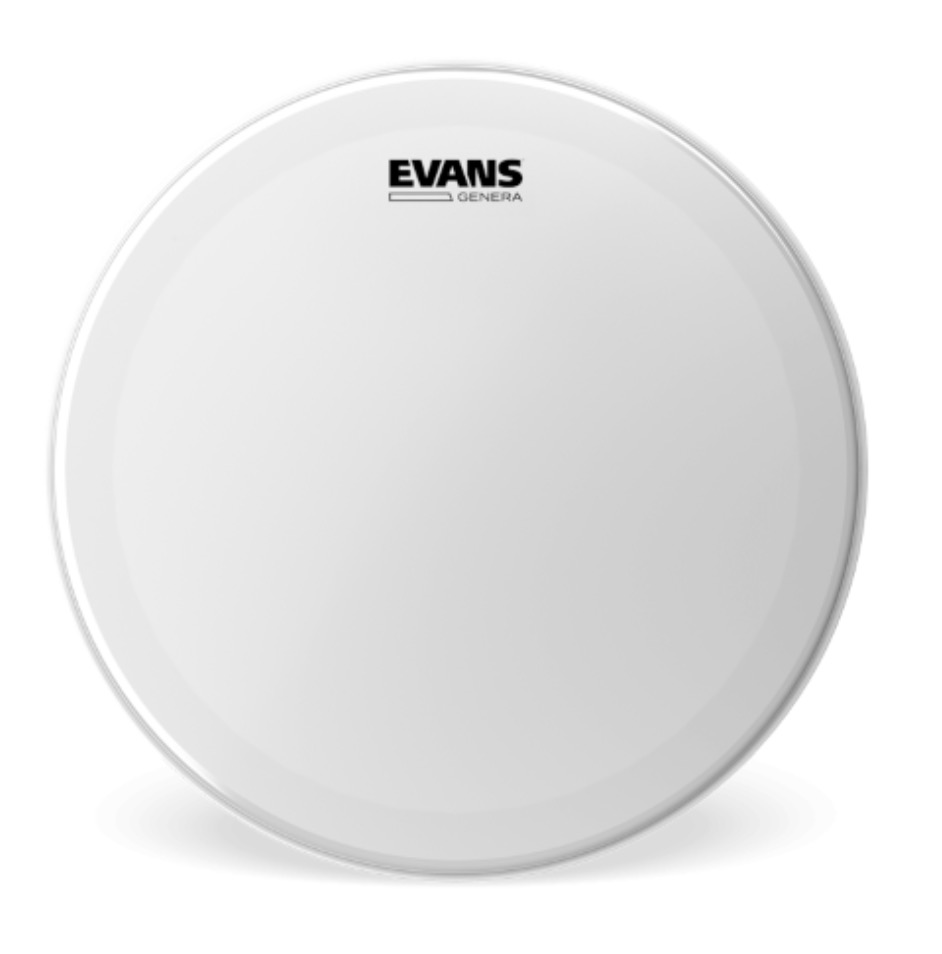 Evans 14" b14gen genera  14" drumvel