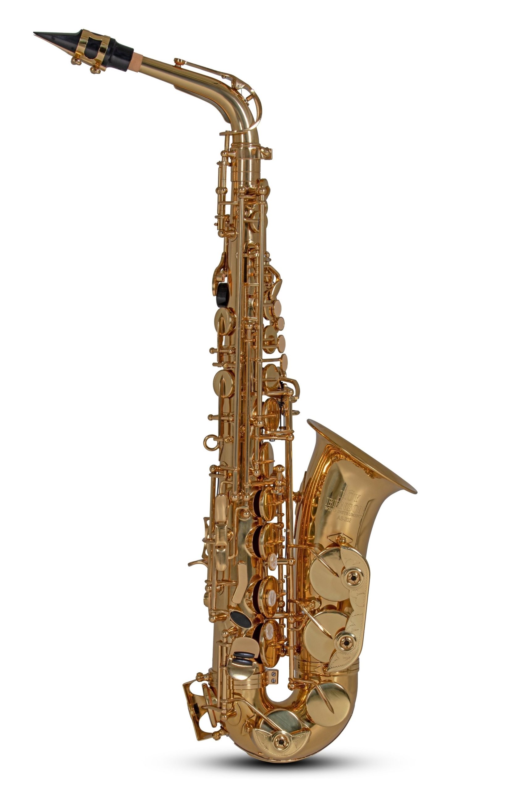 Roy Benson AS-202 Alt incl bag Alt saxofoon