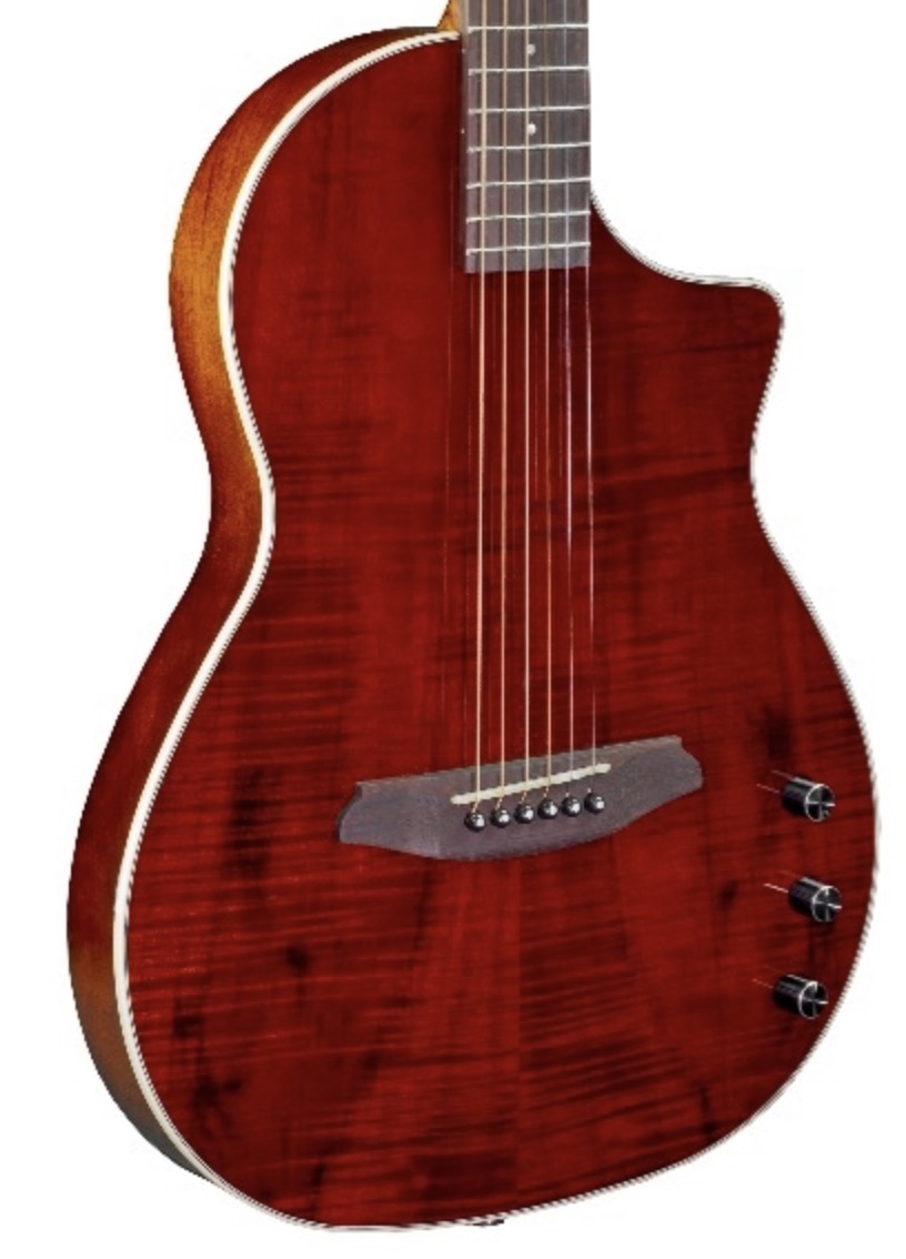 Rathbone RSM1KE SHOWMASTER THINLINE Western gitaar met element