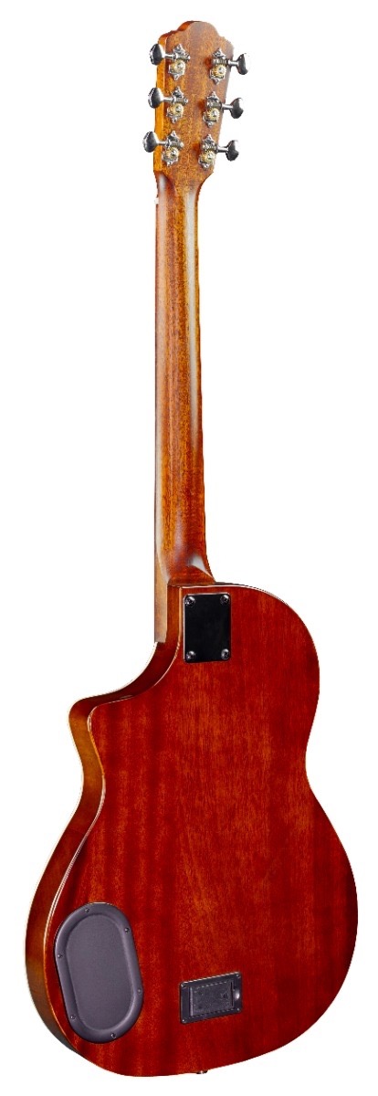 Rathbone RSM1KE SHOWMASTER THINLINE Western gitaar met element