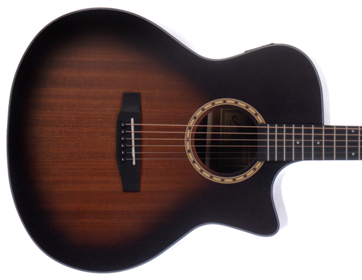 Morgan W103 CE GA VSB Western gitaar met element