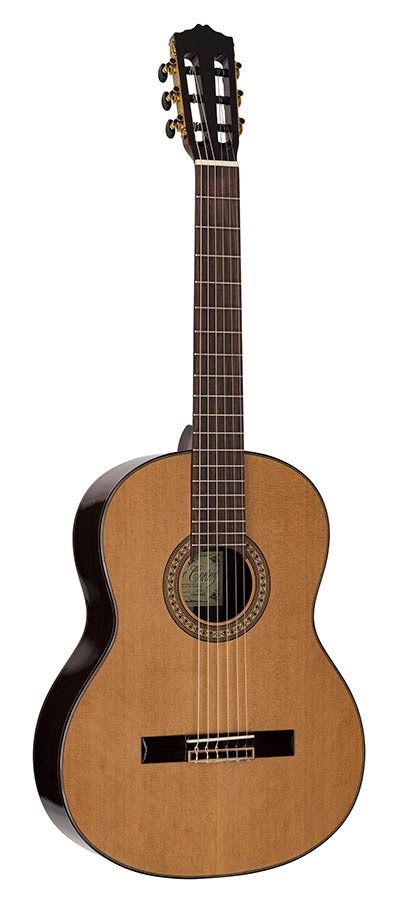 Salvador Cortez Rosa S Klassieke gitaar