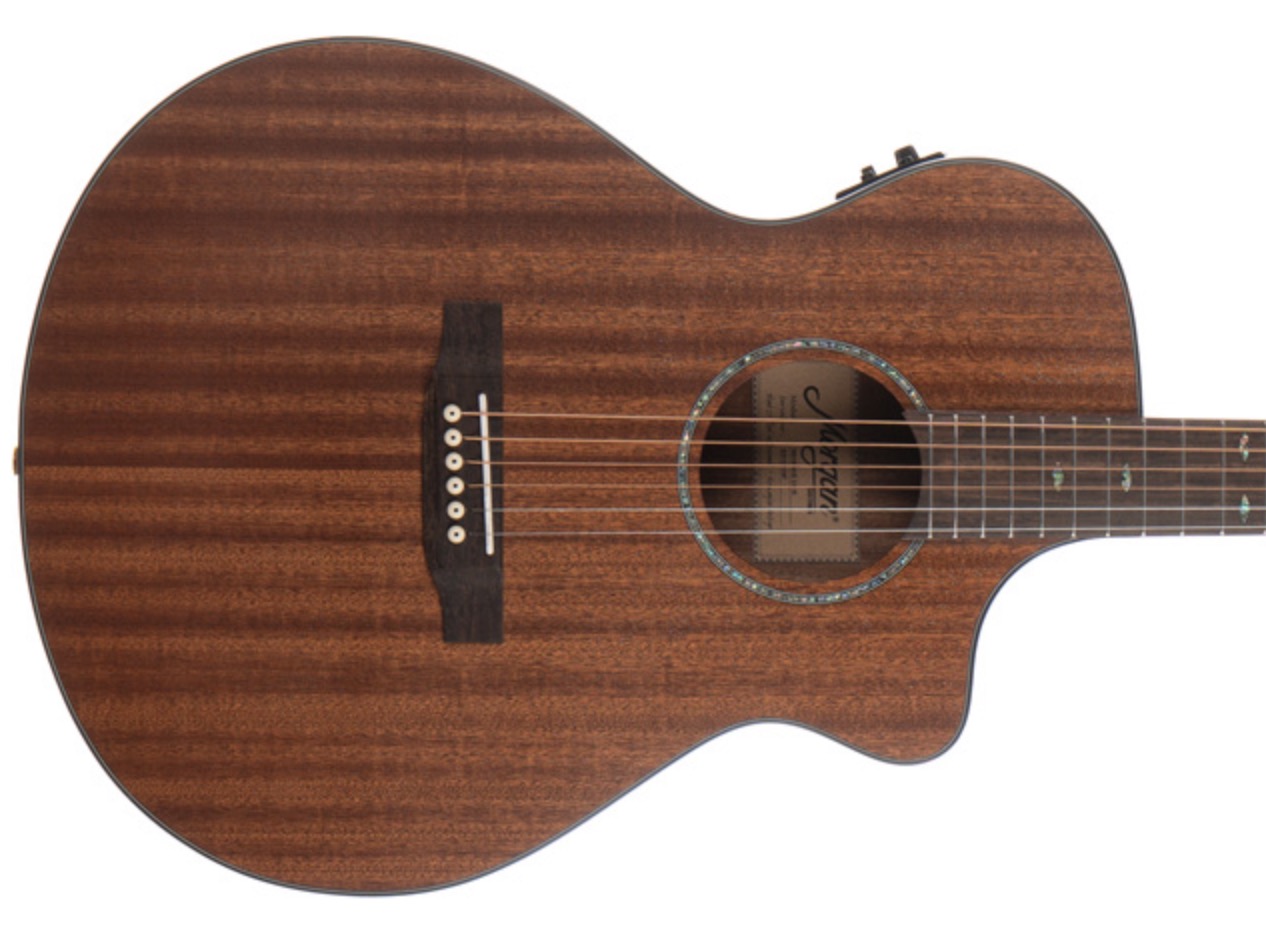 Morgan W619sce n Western gitaar met element