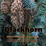 Blackhorn BCG-01 Premium Set klassieke snaren