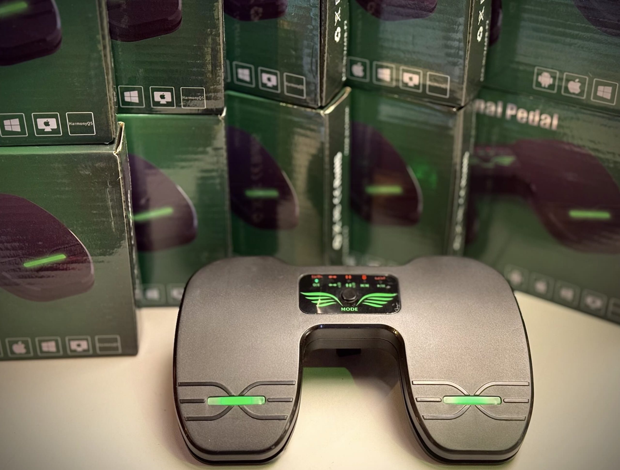 Blackhorn P2 BT Pageturner