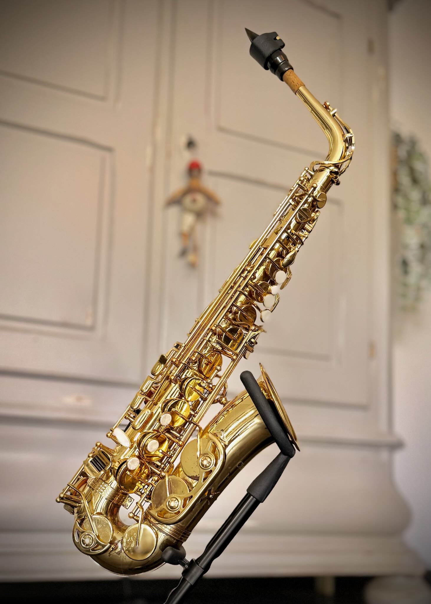 Trevor James The Horn Classic D4664 Alt saxofoon