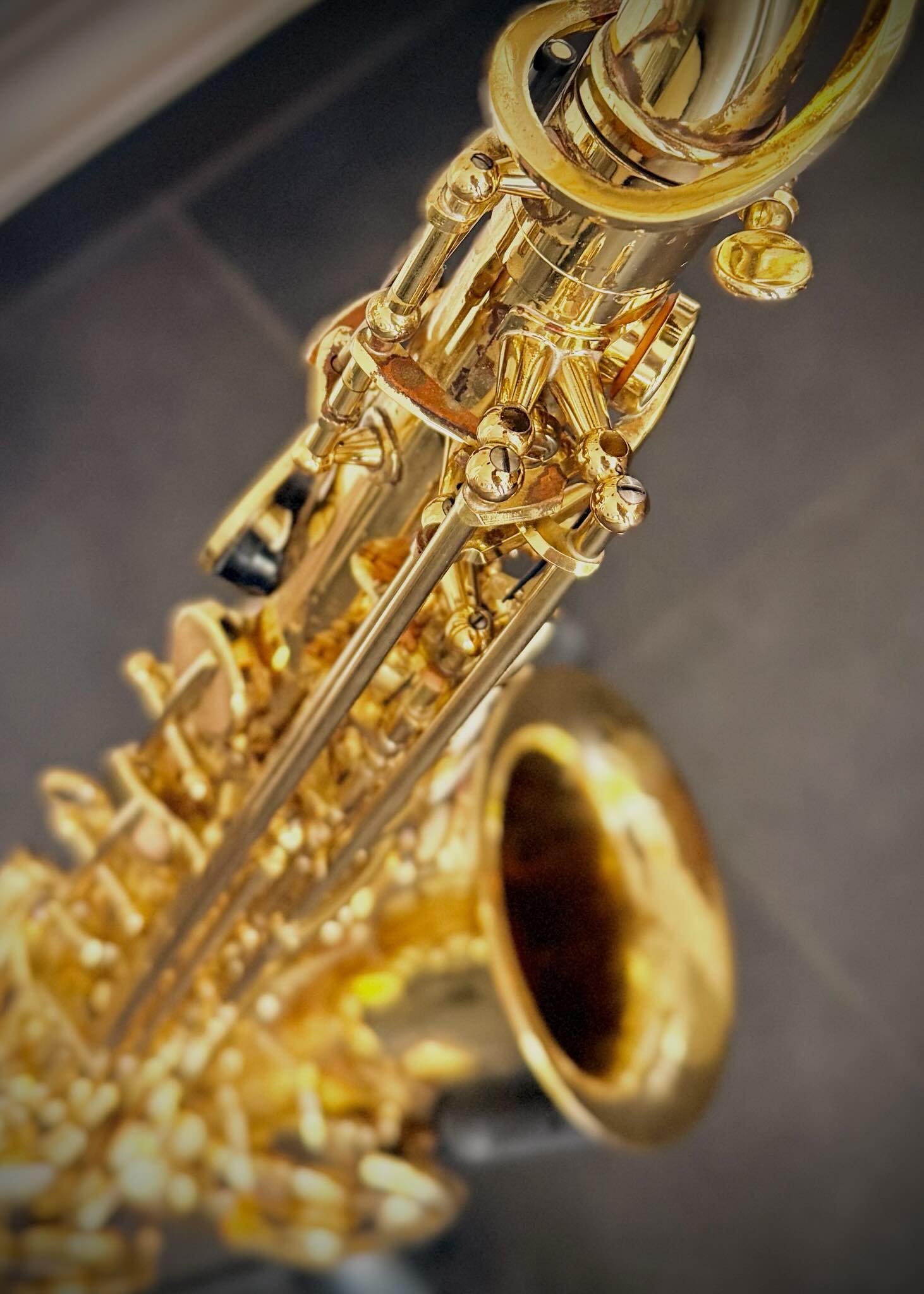 Trevor James The Horn Classic D4664 Alt saxofoon