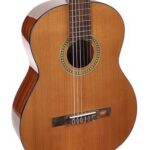 Salvador Cortez CC10  cedar top Klassieke gitaar
