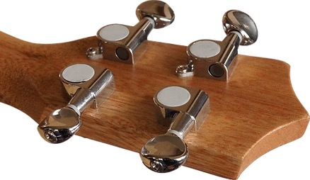 Blackhorn Concert Leaves Dark Concert ukelele