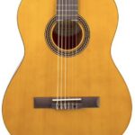 Valencia VC204H dlx Klassieke gitaar