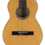 Valencia ¾ VC203 H Deluxe ¾ Klassieke gitaar