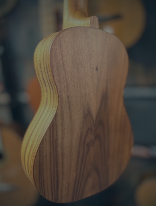 Morgan guitarlele cg10dlx guk Guitarlele
