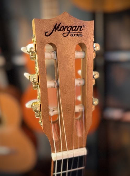 Morgan guitarlele cg10dlx guk Guitarlele