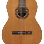 Salvador Cortez CC15  cedar top Klassieke gitaar