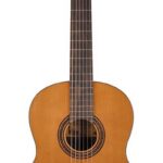 Salvador Cortez CC15  cedar top Klassieke gitaar