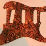 Canadian Custom fender usa type Electrisch model