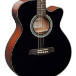 Brunswick BTK50BK deluxe Western gitaar met element