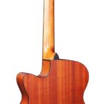 Brunswick BTK50TB deluxe Western gitaar met element