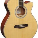Brunswick BTK50NA deluxe Western gitaar met element