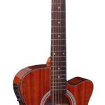 Brunswick BTK5012M dlx 12 snarige western gitaar met element