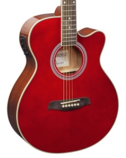 Brunswick BTK50RD deluxe Western gitaar met element