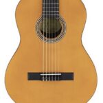 Valencia VC204 N dlx Klassieke gitaar