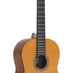Valencia VC204 N dlx Klassieke gitaar