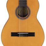 Valencia ¾ VC203 N Deluxe ¾ Klassieke gitaar