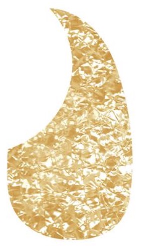 Blackhorn AG-100-PC Acoustisch model