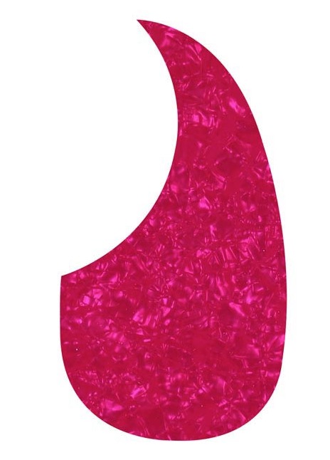 Blackhorn AG-100-PP Acoustisch model