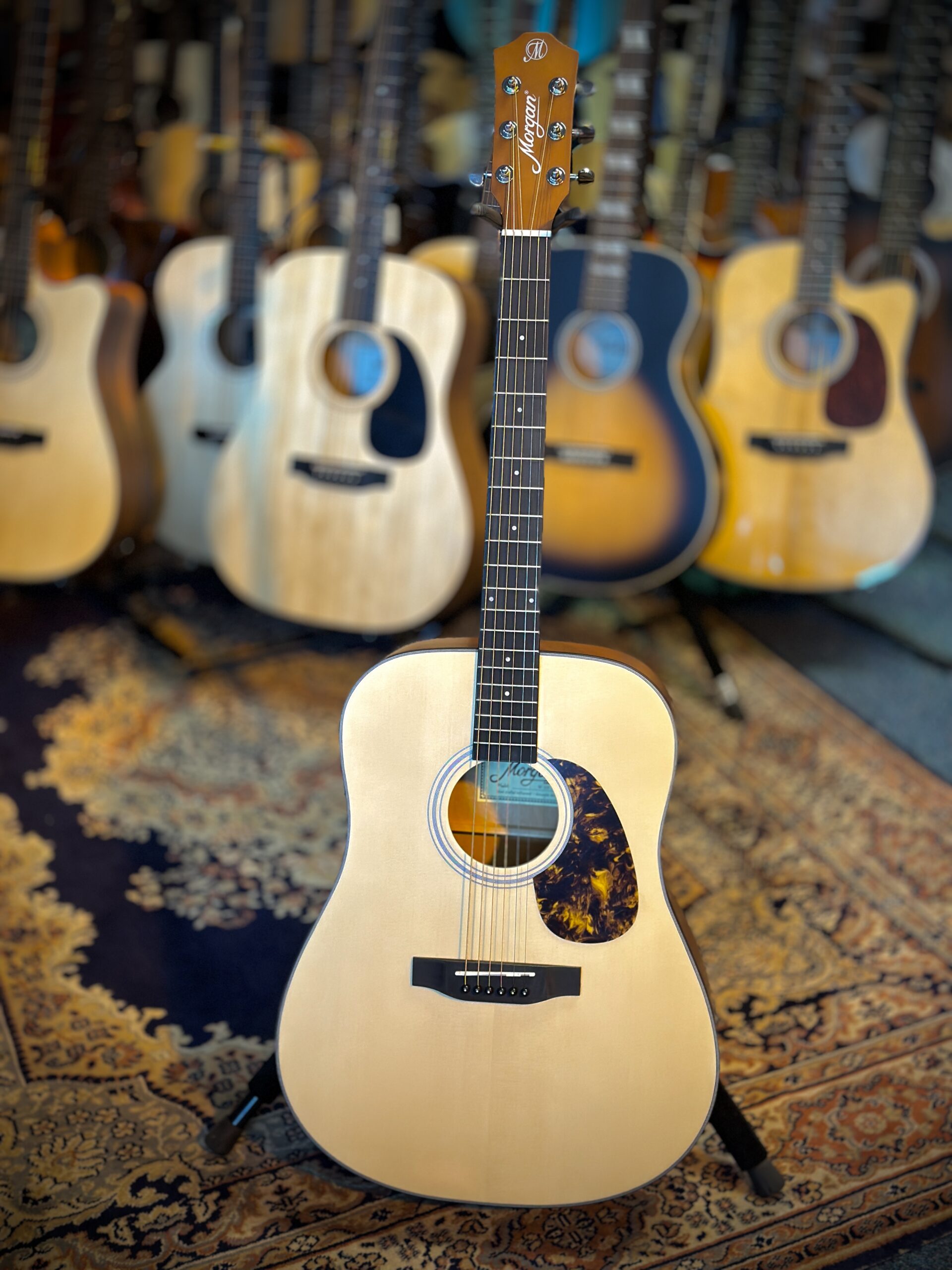 Morgan W09n dlx Western gitaar