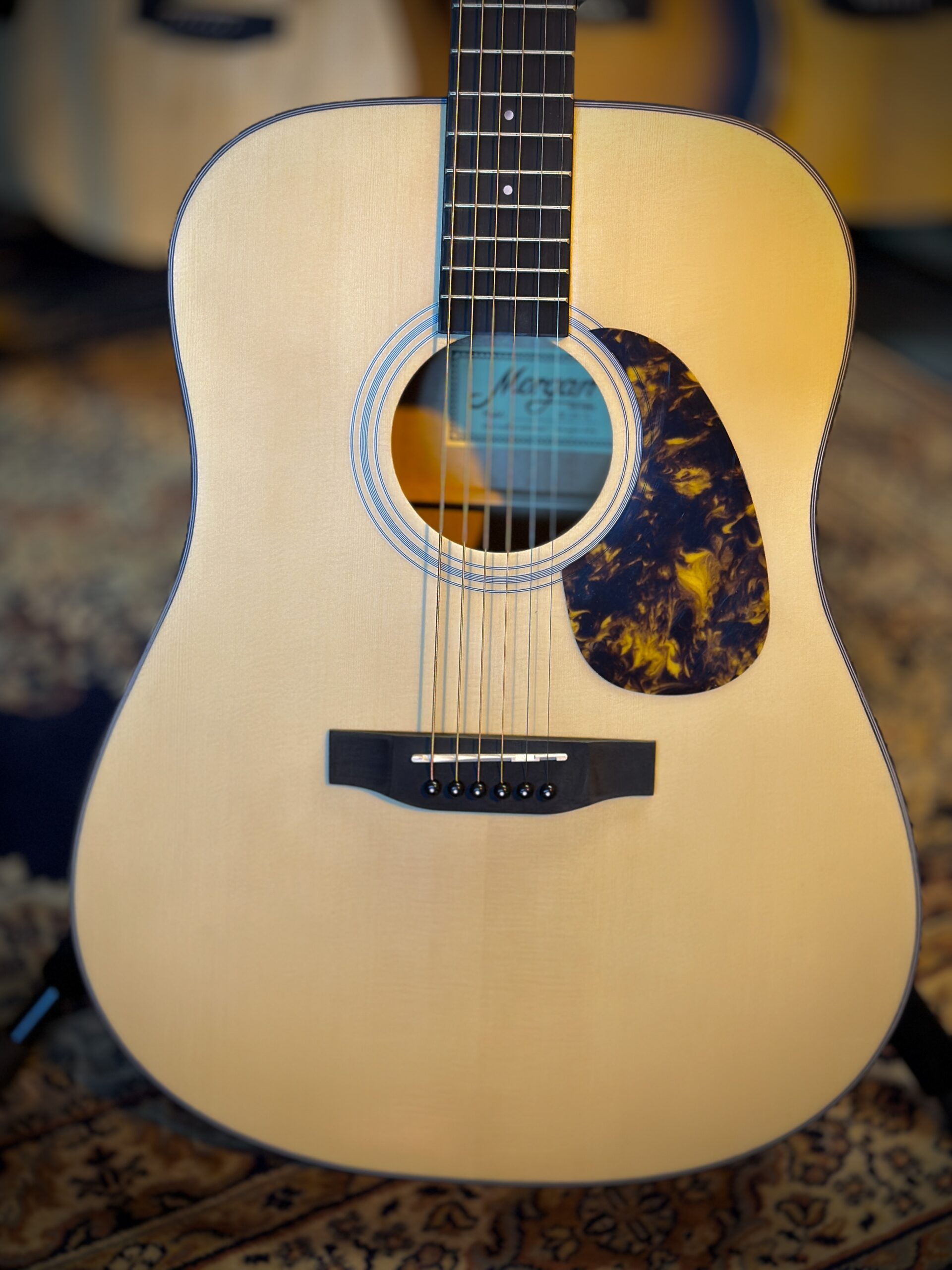 Morgan W09n dlx Western gitaar