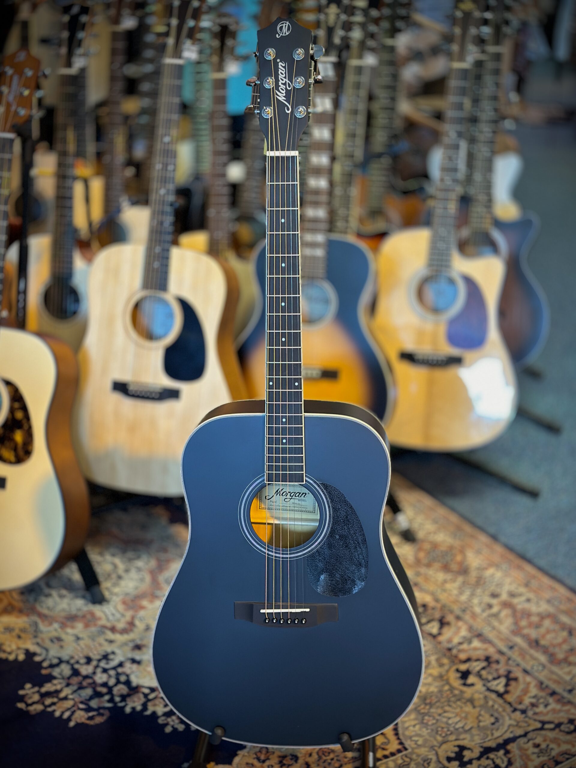 Morgan W09bk dlx Western gitaar