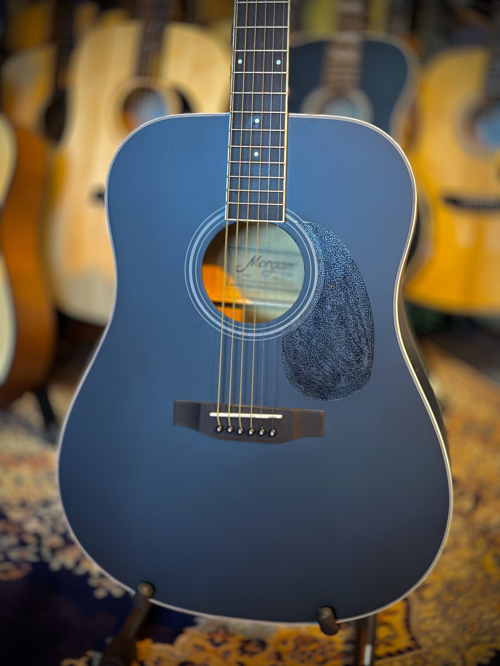 Morgan W09bk dlx Western gitaar