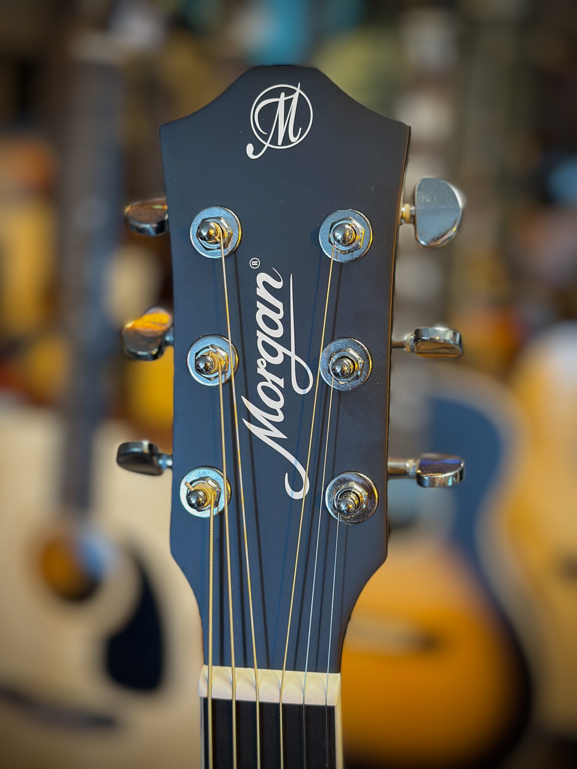 Morgan W09bk dlx Western gitaar