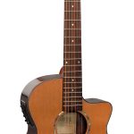 Rathbone R1CRCE bag Western gitaar met element