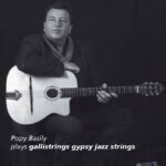Galli GSL-11 Gypsy Jazz 0.11 Set voor western gitaar