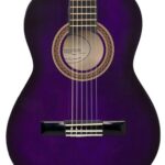Valencia ¾ VC103 PPS dlx ¾ Klassieke gitaar