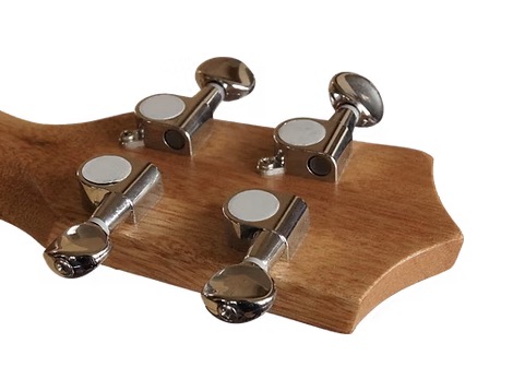 Blackhorn Concert Flowers Dark Concert ukelele