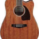 Ibanez PF16MWCEOPN Western gitaar met element